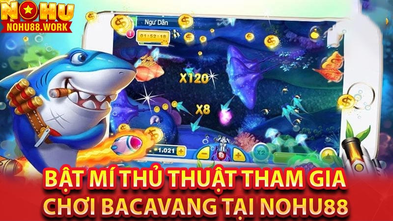 Bật mí thủ thuật tham gia chơi bacavang tại NOHU88 