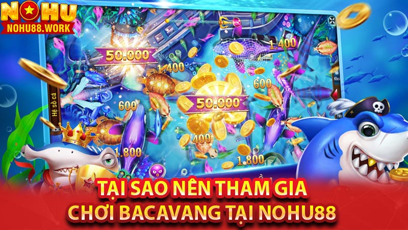 Tại sao nên tham gia chơi bacavang tại NOHU88 