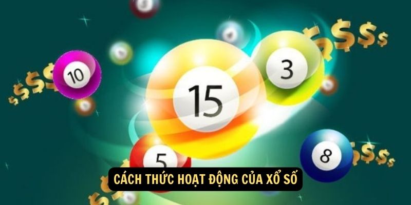 Cách Thức Hoạt Động của Xổ Số